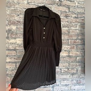 Zara sheer Swiss dot dress NWT Gorgeous rhinestone buttons, amazing sleeves